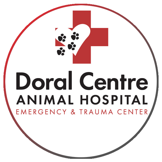 24 Hour Emergency Veterinarian - Doral Centre Animal Hospital